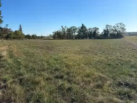 vend terrain 6000 m2