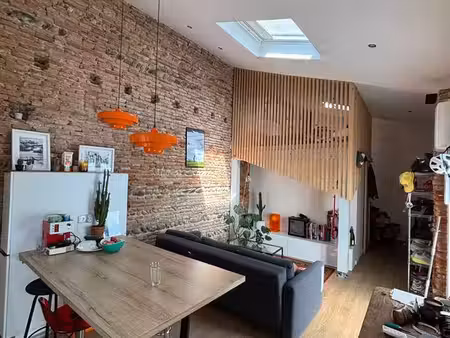 appartement loft 46m2 - saint-cyprien 31300