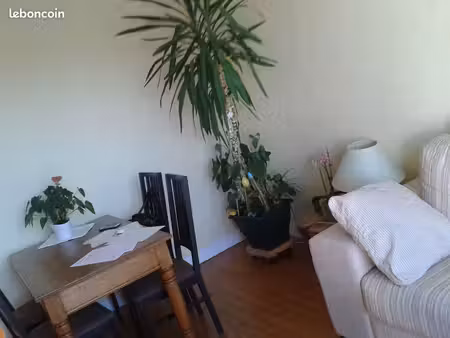 appartement à louer t3 meublé soues