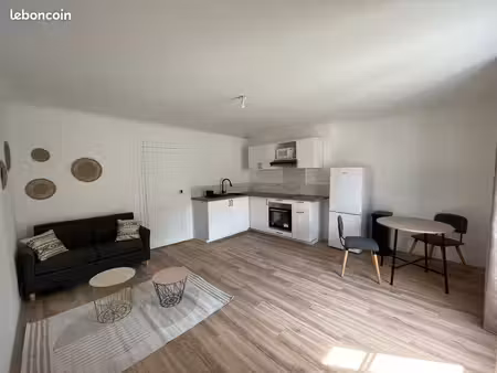 agréable appartement t2 45m2 meublé et rénové - halles béziers