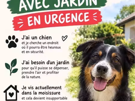 cherche maison dans l’urgence