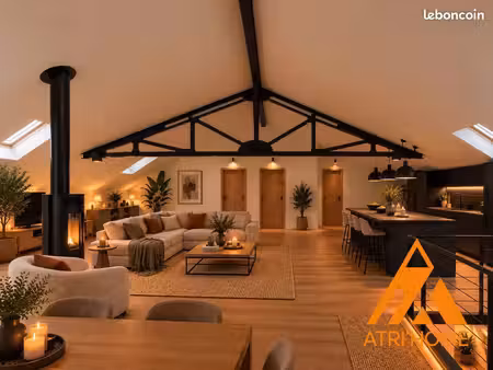 loft 3 pièces 100 m²