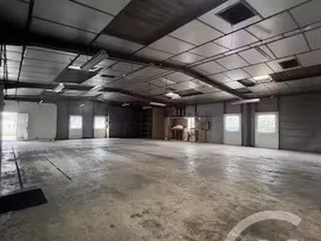 local d'activité 350 m²