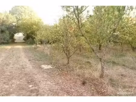places disponibles dans un hameau de 10 habitats légers