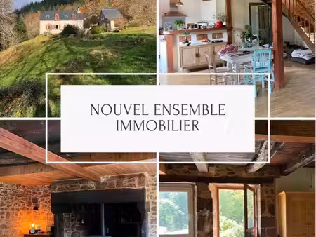maison en pierre 3 chambres  dépendance  grange  terrain environ 3 700 m² - ensemble immob