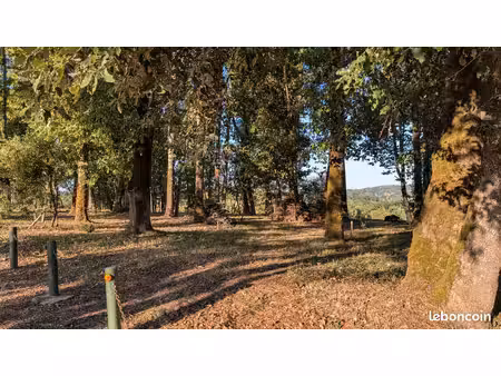 terrain constructible