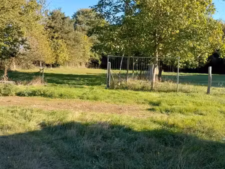 terrain prairie