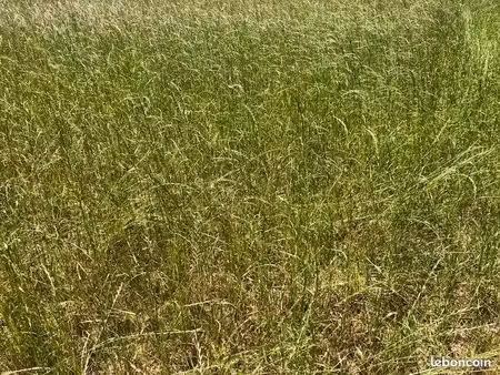 terrain 798 m² brest