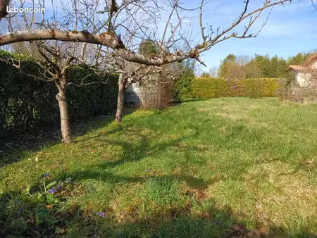 terrain constructible