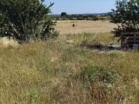 joli terrain