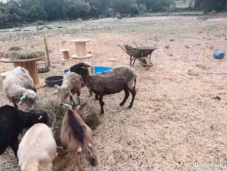 cherche terrain agricole