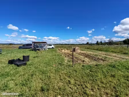 terrain agricole