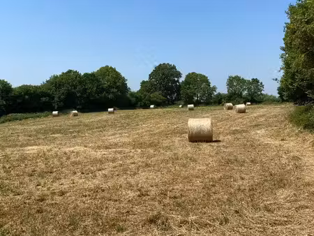 terrain 1 ha – 3000m² constructibles - pc accordé – pays d'auge -ideal projet écologique