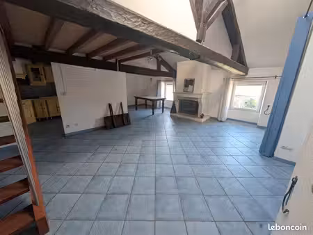 appartement de caractère avec mezzanine et cheminée – 71 15 m²