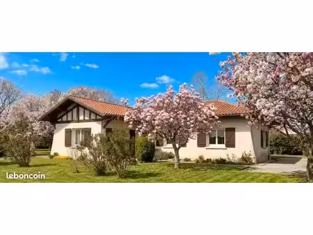 maison 100m2 sur grand terrain