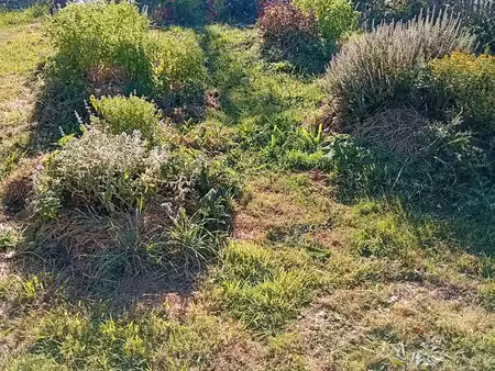 terrain constructible