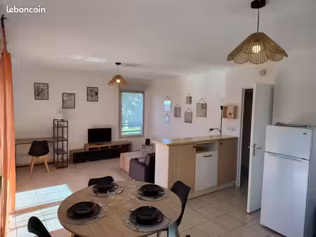 a louer appartement meublé 2 pièces 45 5 m²