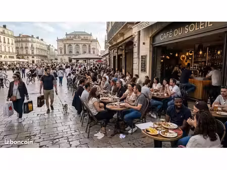 fonds de commerce bar  restaurant 30 m²