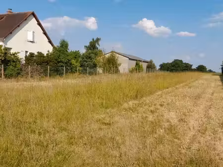 terrain à bâtir à trainou