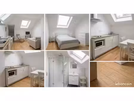 t2 meublé 46 m² – châteauneuf-sur-sarthe (49330)