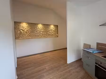 appartement t2  rénové avec jardin