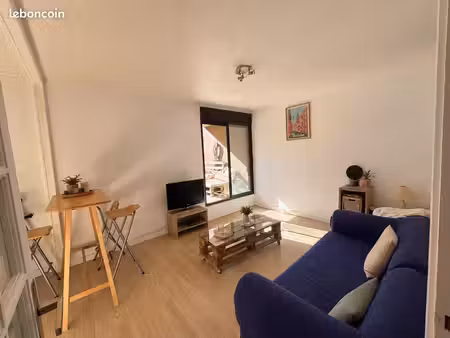 magnifique t1 bis lumineux de 34 m² avec terrasse de 25 m² – centre-ville