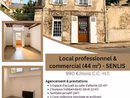 local commercial/professionel coeur de senlis 44m²