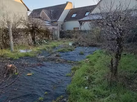 terrain constructible
