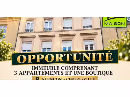 propriété alençon (61)