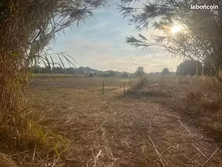 terrain agricole