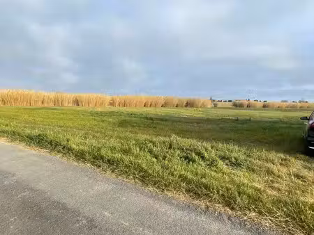 terrain agricole