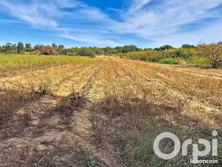 terrain agricole 2 741 m² saleilles