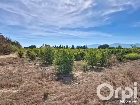 terrain agricole 7 385 m² saleilles