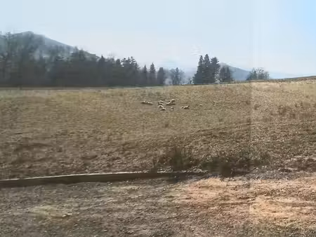 terrain à bâtir