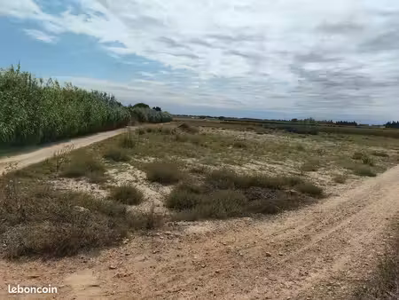 terrain agricole torreilles