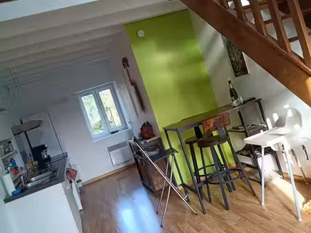 petit appartement avec mezzanine