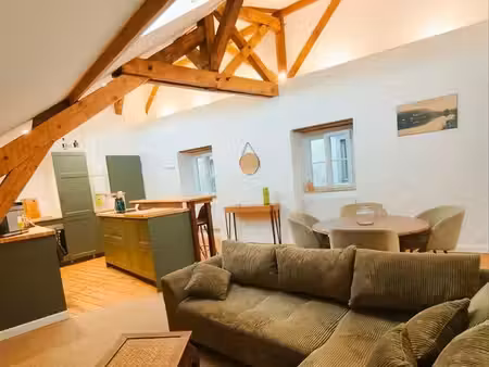 appartement centre ville pau