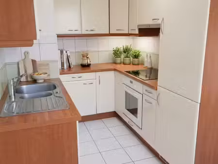 appartement f2 lumineux de 47 m² avec terrasse  garage  parking et cave — duttlenheim
