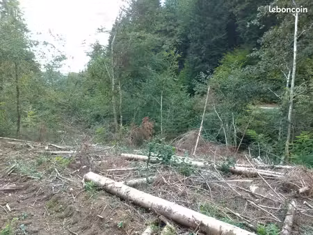 location ou vente terrain osier