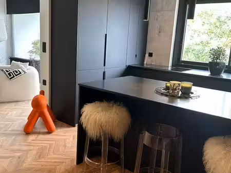 appartement entièrement refait à neuf