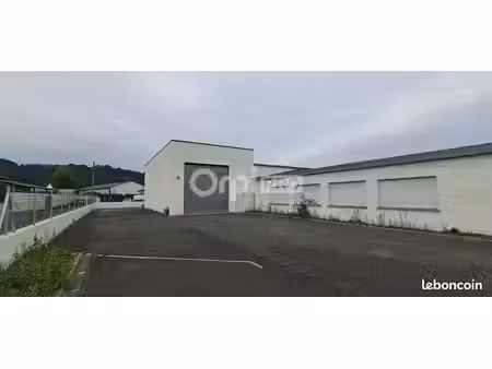 local d'activité 603 m²