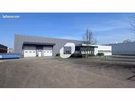 local d'activité 2 655 m²