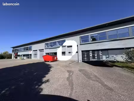 local d'activité 284 m²