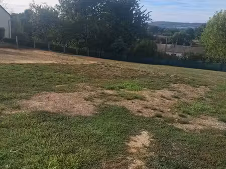 terrain constructible