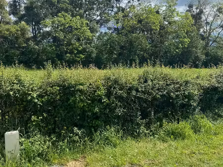 terrain constructible fercé sur sarthe