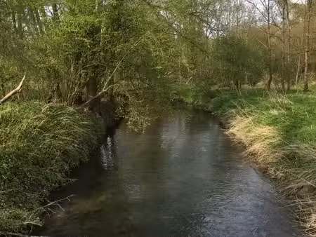 magnifique terrain de loisir boisé et en bordure de rivière de 1088 m² en seine-et-marne à
