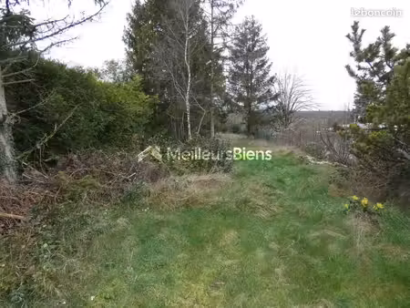 terrain 1 743 m² buthiers