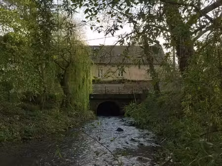 magnifique terrain de loisir boisé et en bordure de rivière de 1302 m² en seine-et-marne à