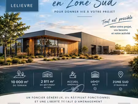 local d'activite 10000 m² le mans