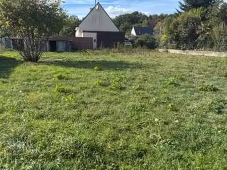 vente terrain à camors (56330) : à vendre / camors